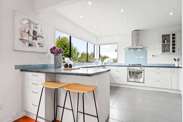 73 Wright Road Dairy Flat_4