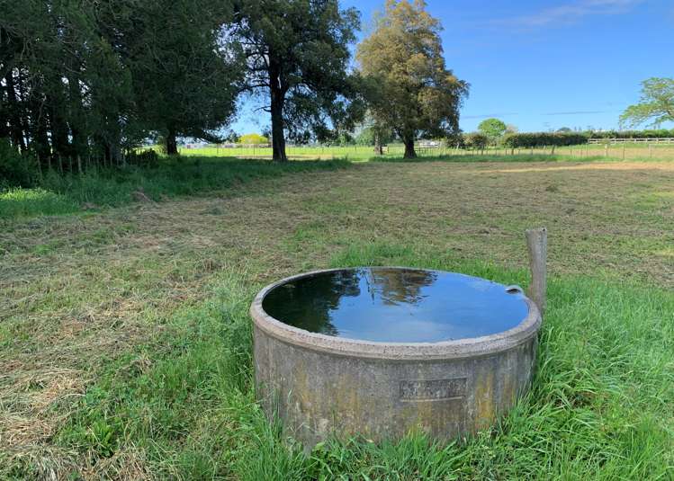 440 Waharoa Road Waharoa_13