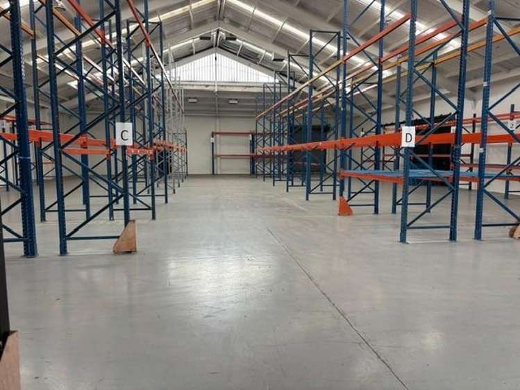 105 Wordsworth Street Sydenham_3