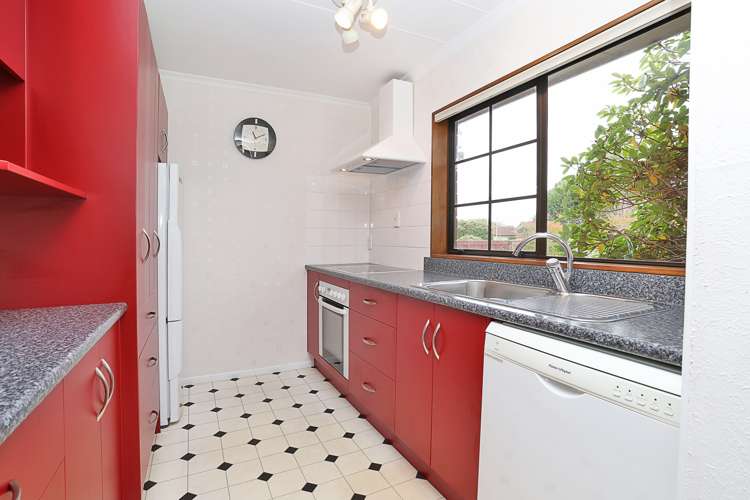 49b Racecourse Road Glengarry_7