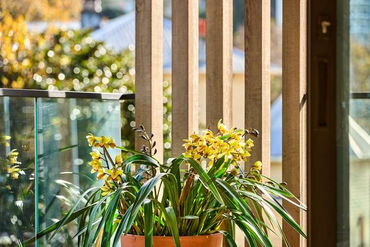 201/251 Victoria Street Te Aro_11