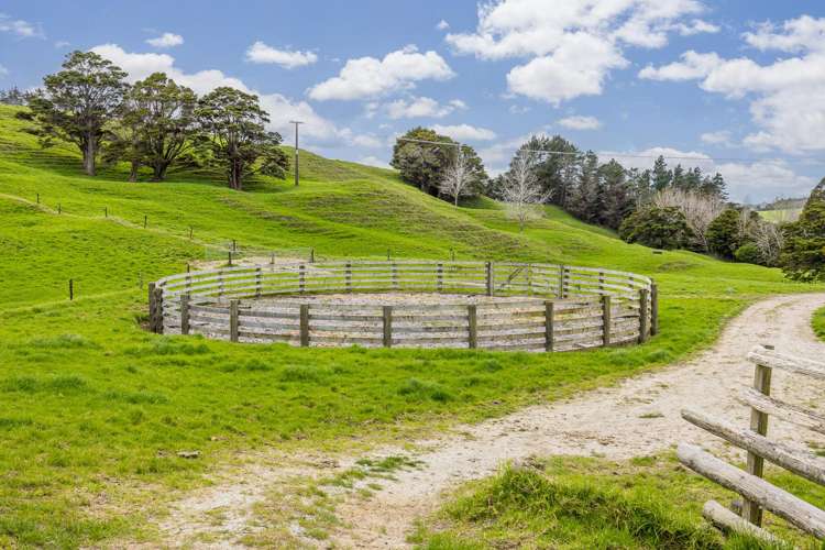 421 Wharehine Road Wharehine_20