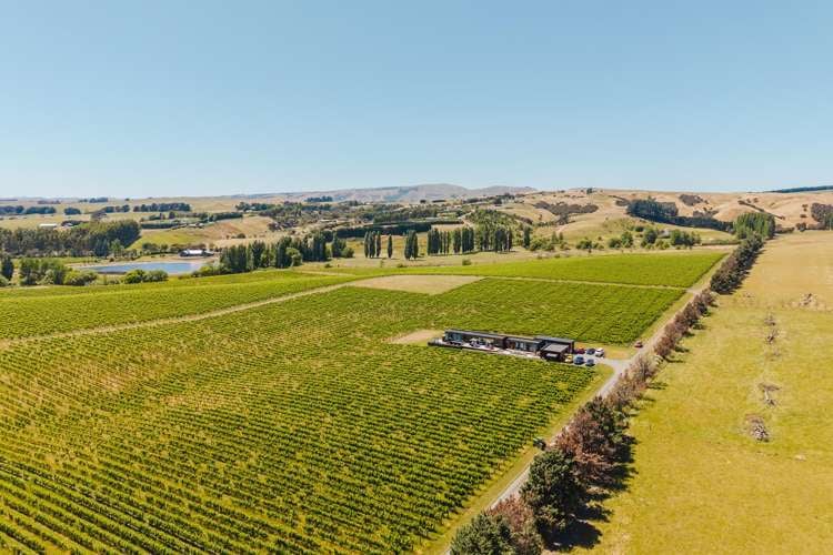 Lot 3 Willow Lane Martinborough_5