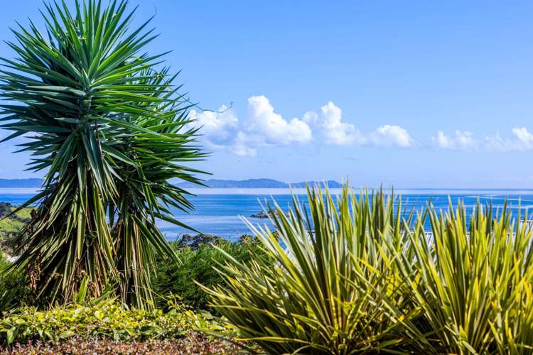 7 Torsby Road - Coopers Beach_5