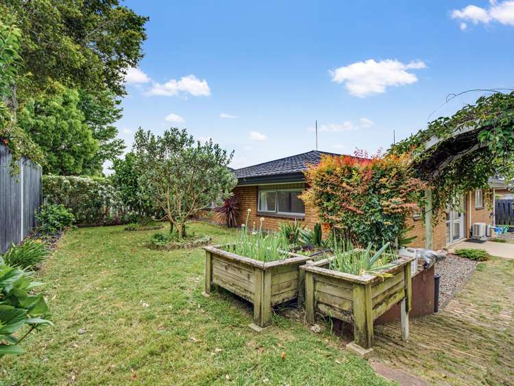 279a Maungatapu Road Maungatapu_28