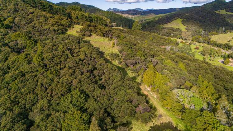 113 Puhata Road Herekino_24