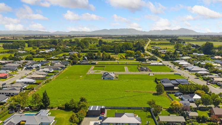 Carlisle Estate Tinwald_24