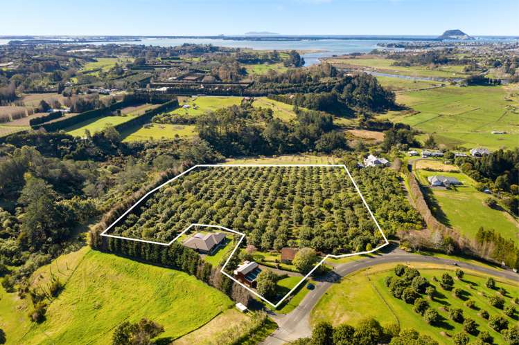 84a Oliver Road Wairoa_1