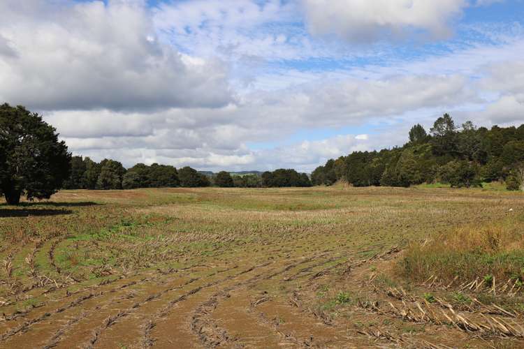 66 O'Neill Road Whakapara_14