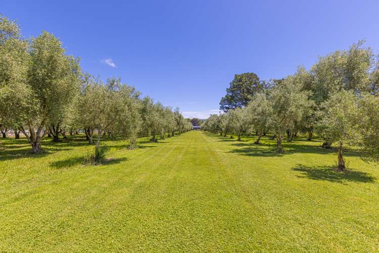 274 High Street North Carterton_16