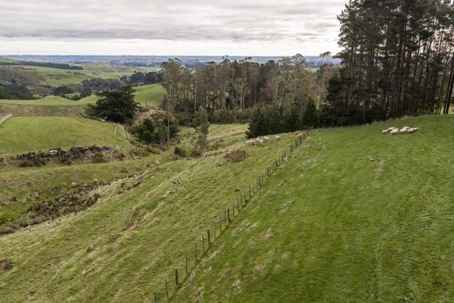 58 Greens Road Linton_1