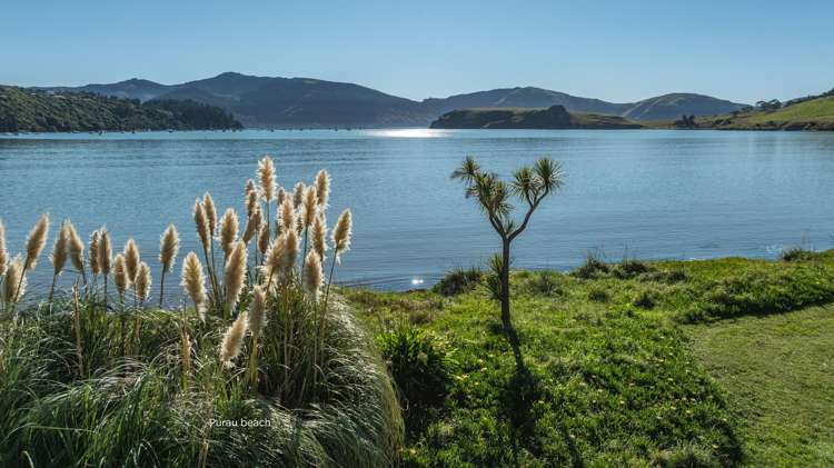 168-240 Purau Port Levy Road Purau_21