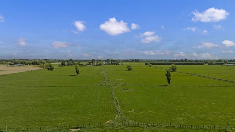 332 Setters Line Bunnythorpe_7