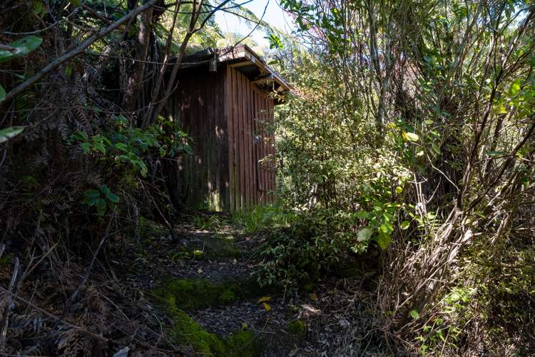 Port Underwood Road Port Underwood_9