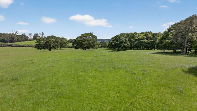 54 Edgerley Road Kaipara Flats_21