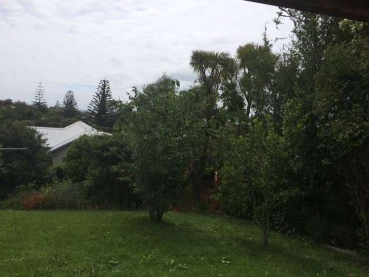 135 Birkenhead Avenue Birkenhead_8