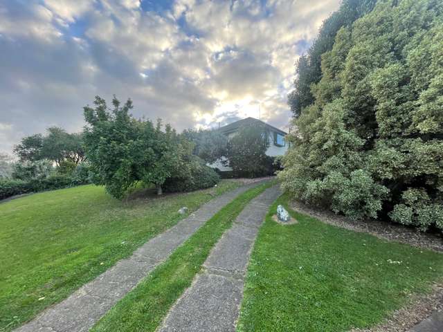 17 Merfield Street Glen Innes_3