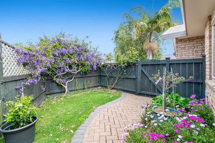 47 Red Hibiscus Road Stanmore Bay_11