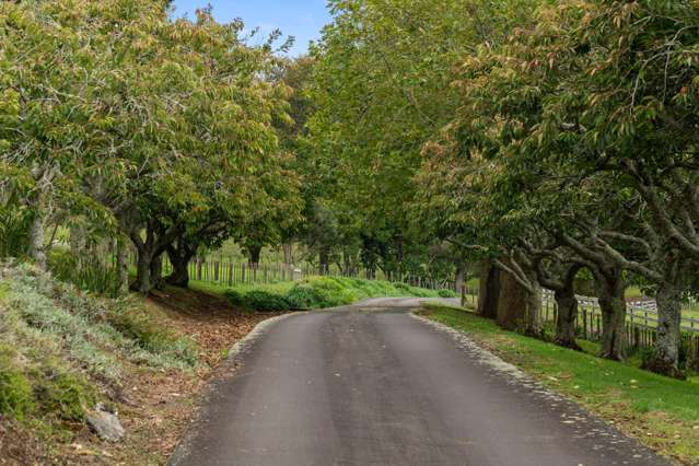 44 Arana Drive, Karaka_3