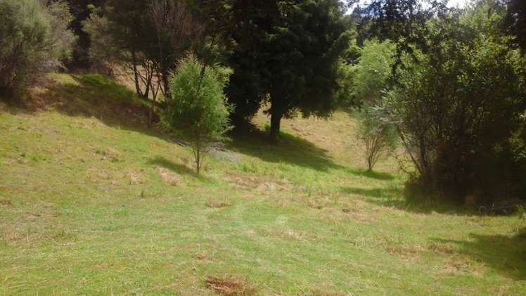 238 Punga Punga Road Pukekawa_6