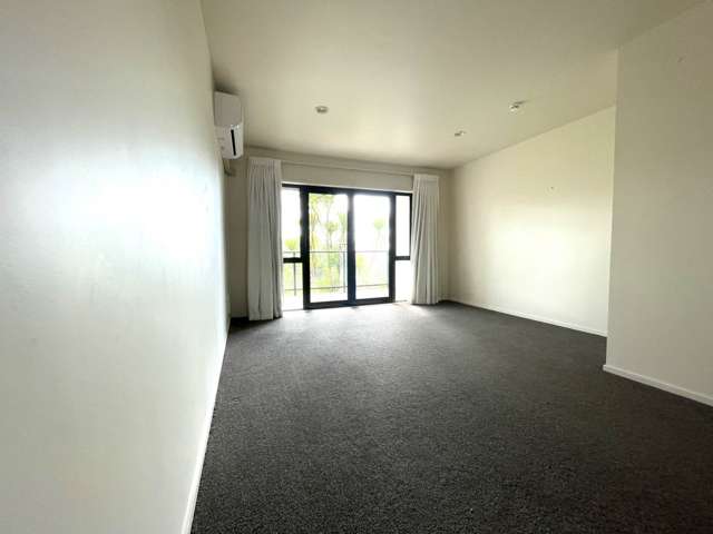 3n Laxon Terrace Remuera_3