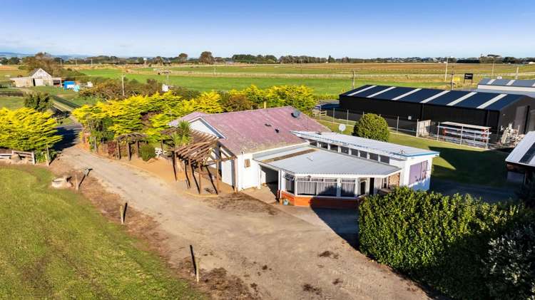 331 Waihi Road Hawera_10