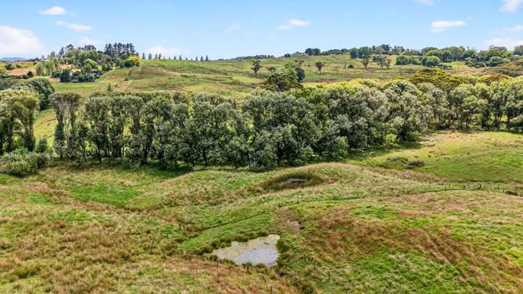 24A Waterview Crescent Kaiwaka_34