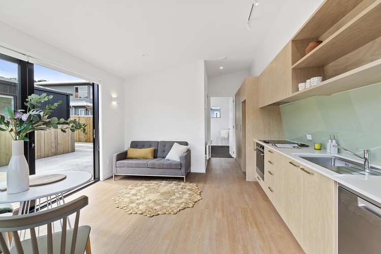 46B Camperdown Road Miramar_3