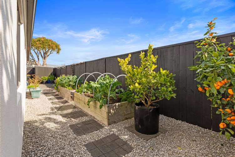 134 Palm Beach Boulevard Papamoa_16