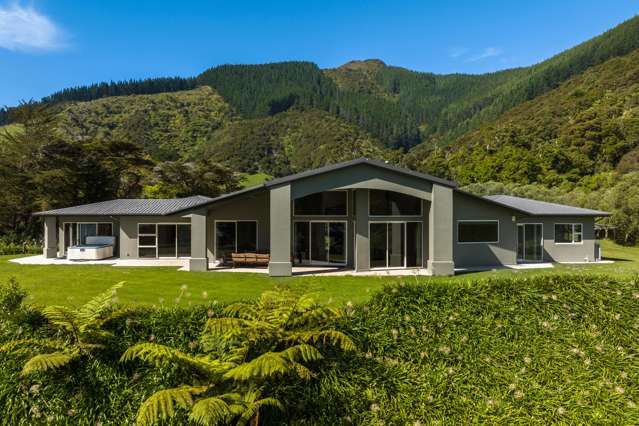 Panoramic Window on Waitaria