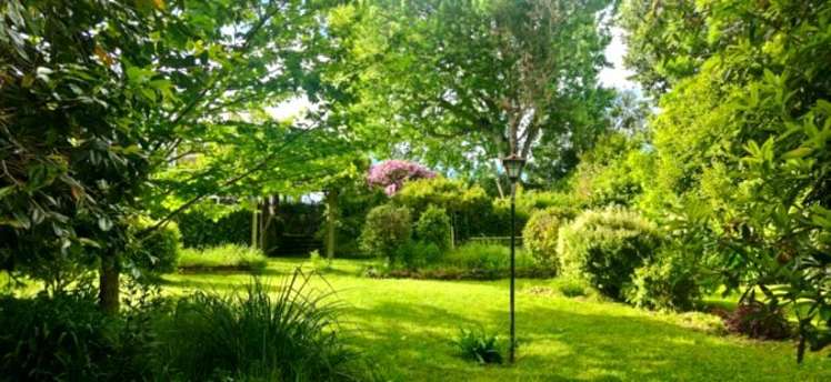 16 Hunter Street Dannevirke_25