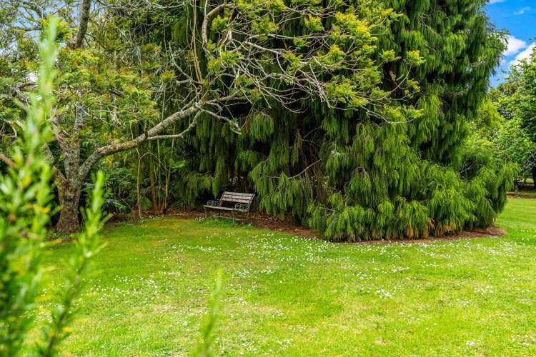 1322 State Highway 10 Kerikeri_21