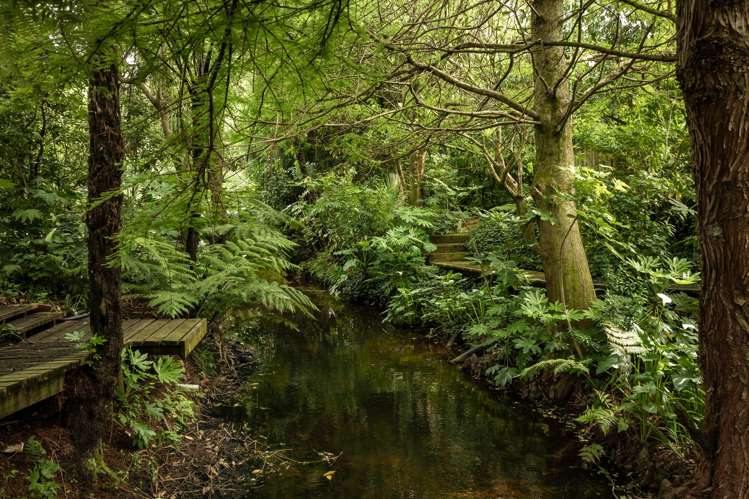 2 Highfields Drive Katikati_26