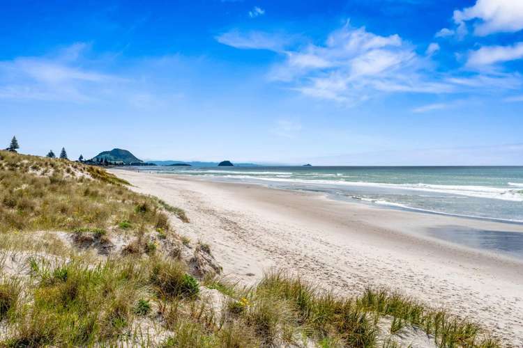 397 Oceanbeach Road Mount Maunganui_22