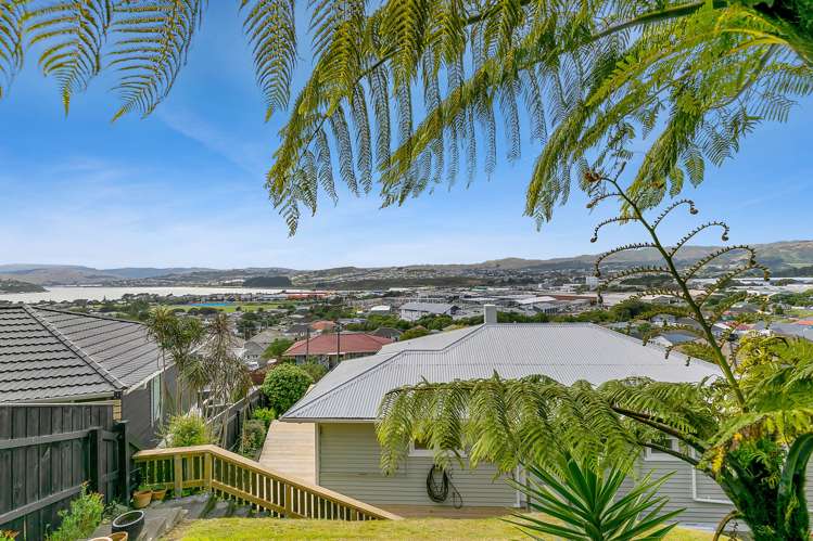 34 Waiho Terrace Elsdon_15