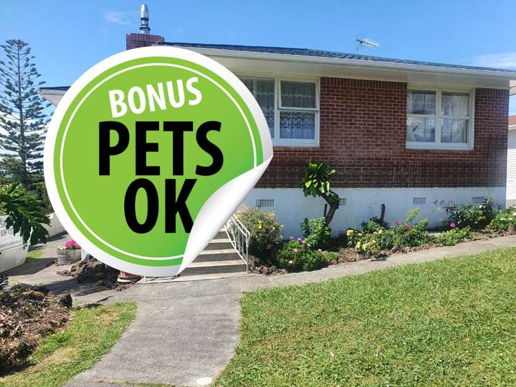 135 Coronation Road Hillcrest_0