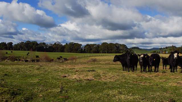 Raetihi Ohakune Road Raetihi_2