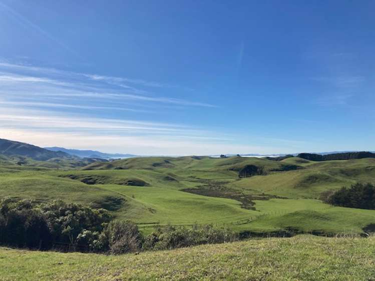 Lot 4 Tararua Road Pahiatua_2