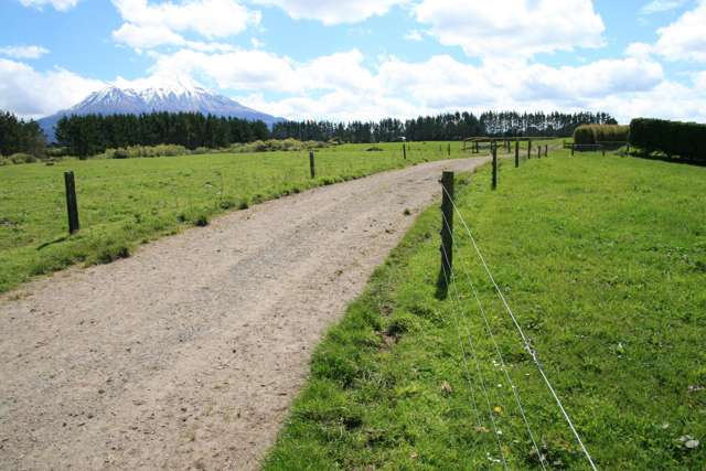 START-UP DAIRY FARM