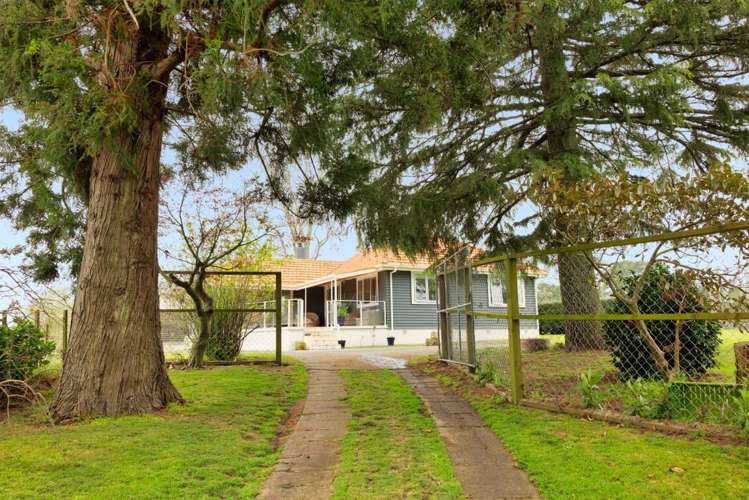 123 Hereford Park Road Pukehina_5