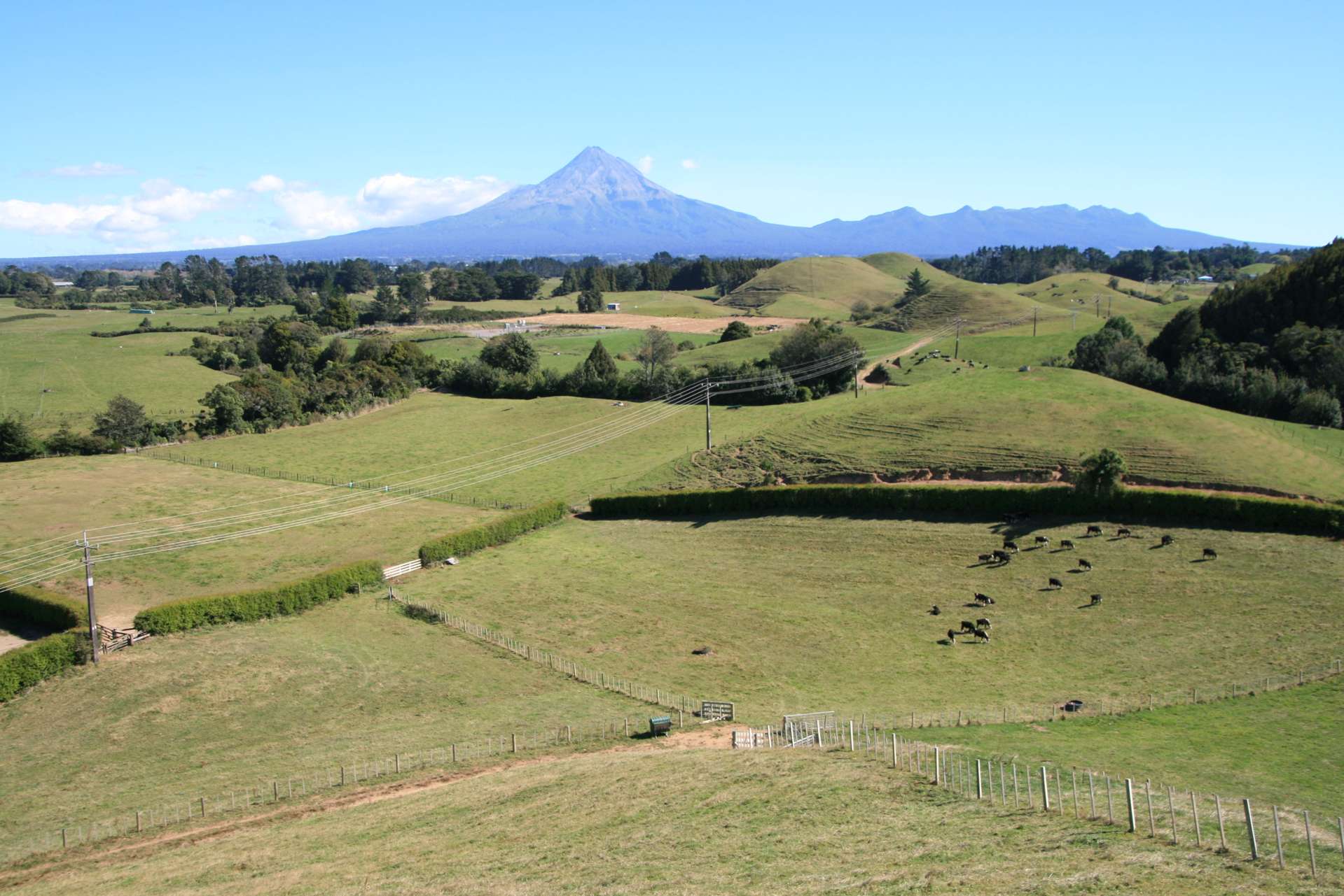 196 Tarata Road Inglewood_0