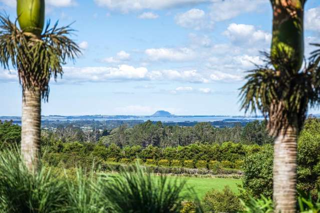17B Tye Road Katikati_1