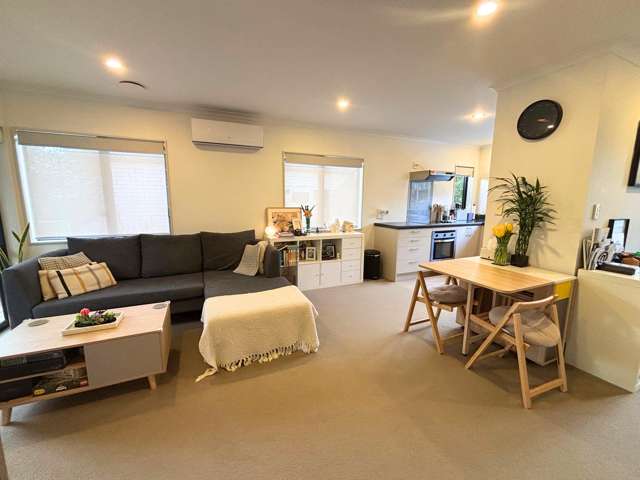 5D Pyramid Place Glen Eden_2