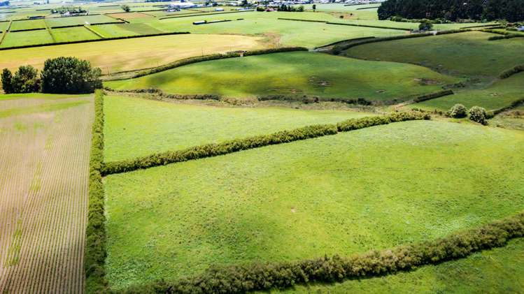 29 Ohangai Road Normanby_9