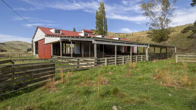 16451 Route 52 Masterton_13