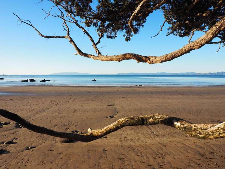 203 Howard Road Orere Point_18