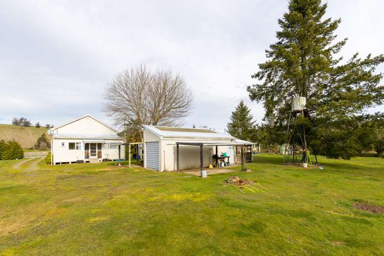 870 Tadmor Valley Road Kahurangi National Park_16