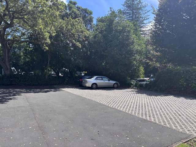 92 Mountain Raod Epsom_3