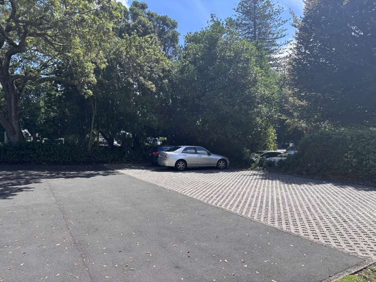 92 Mountain Raod Epsom_3