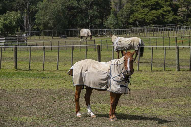 327 Upper Waiwera Road Puhoi_26